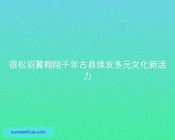 宿松羽翼翱翔千年古县焕发多元文化新活力